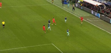 瑞德79.gif